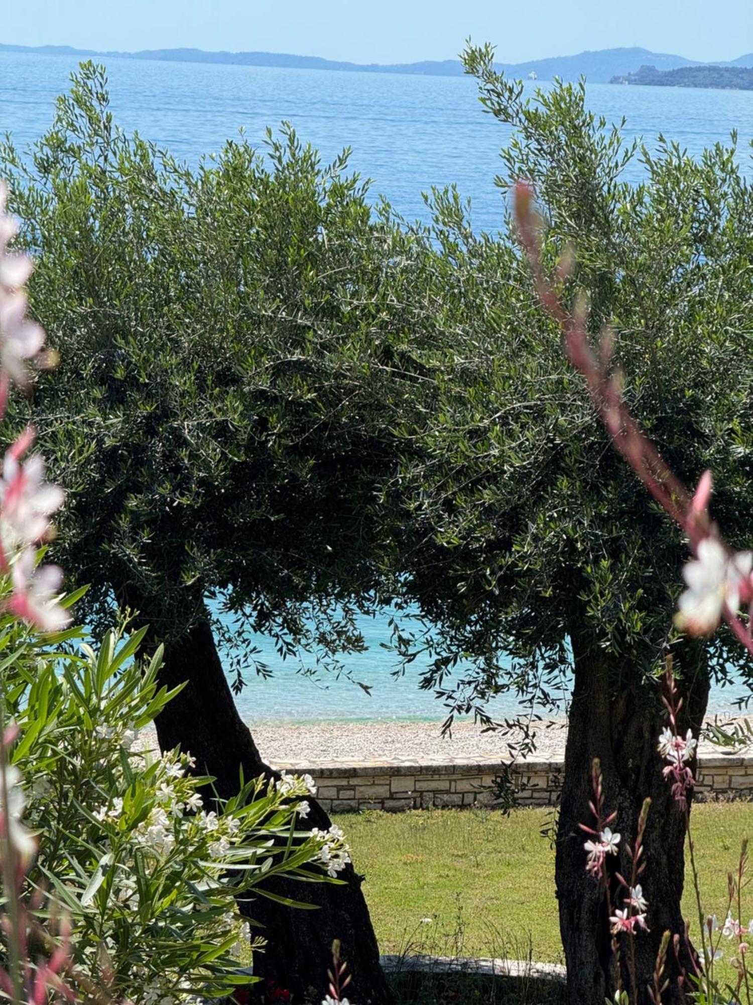 דירות ניסקי Nissaki Bay מראה חיצוני תמונה