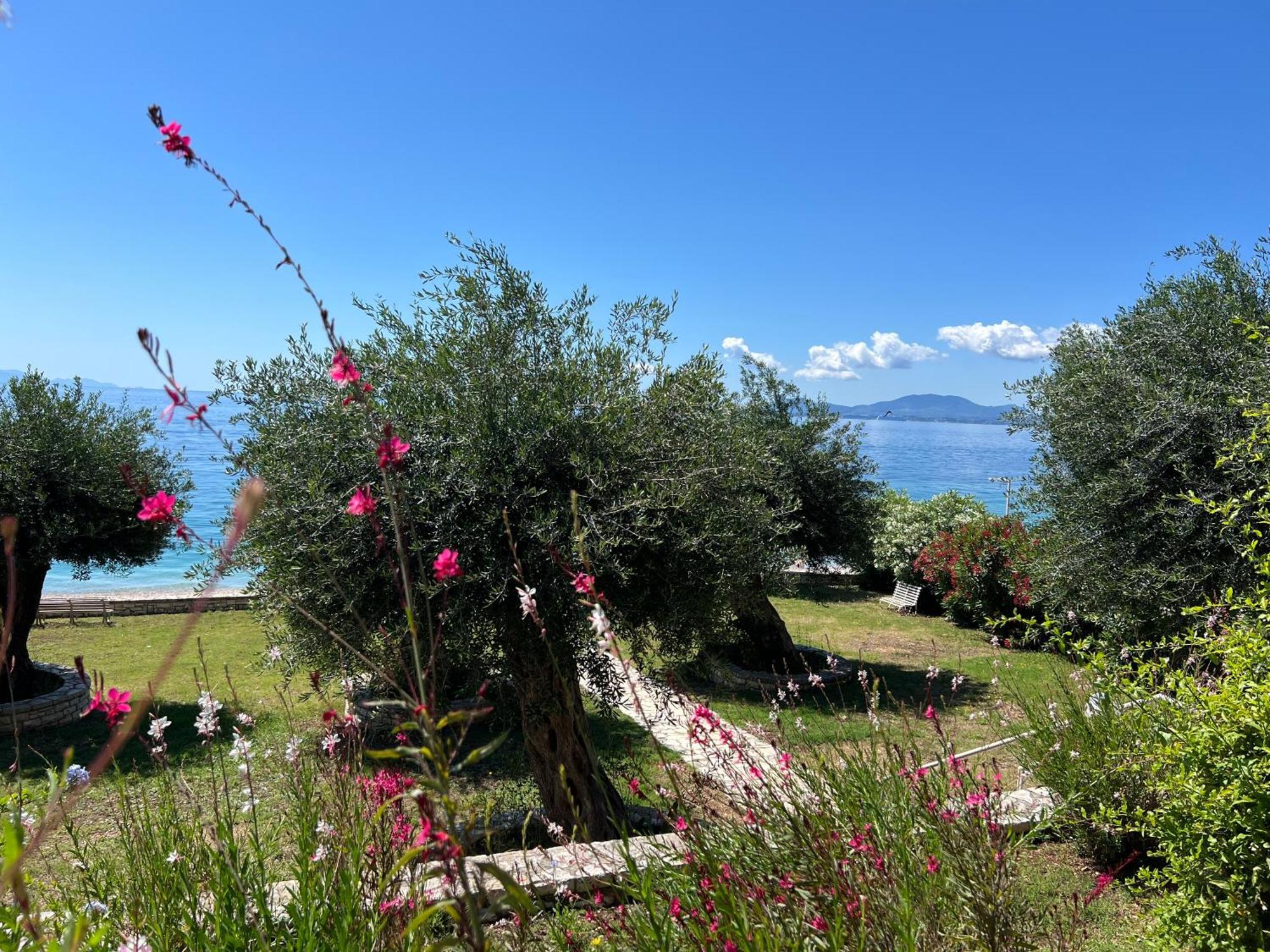 דירות ניסקי Nissaki Bay מראה חיצוני תמונה